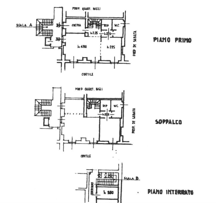 PDG Immobiliare - Patrizia De Grandis